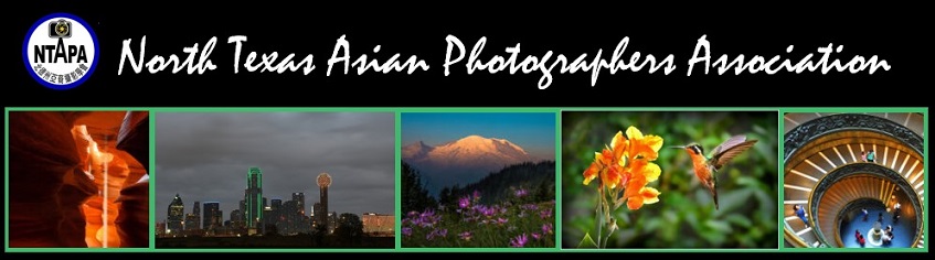 North Texas Asian Photographers Association